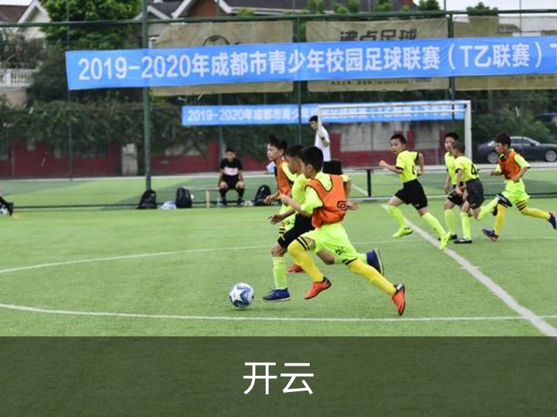 开云·体育 (kaiyun)官方网站_KAIYUN SPORT